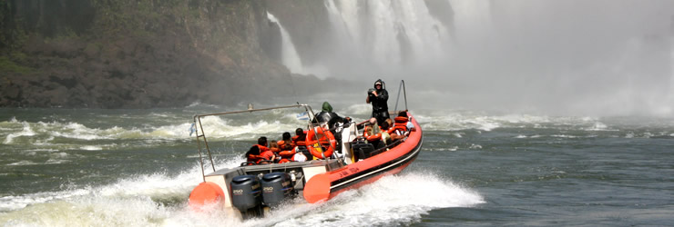 Iguazú Jungle