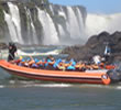 Iguazú Jungle